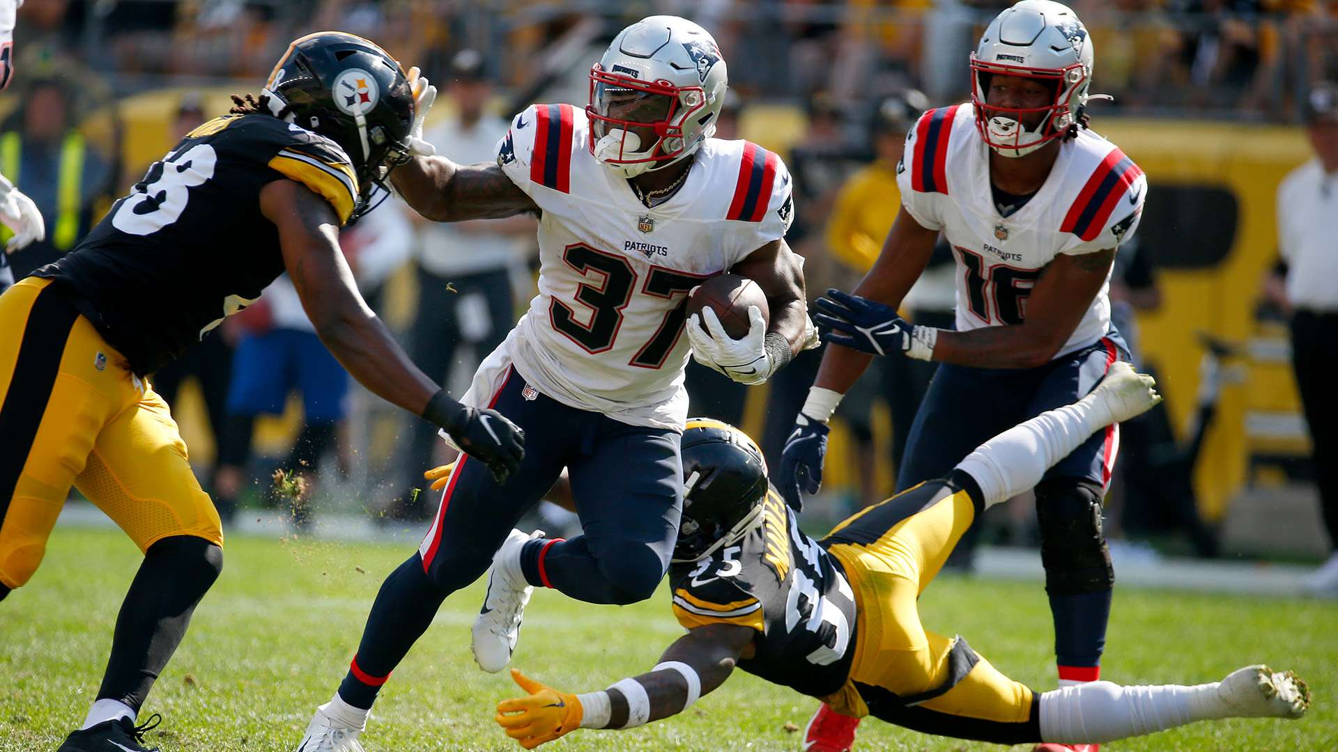 势必会投入 势必会投入